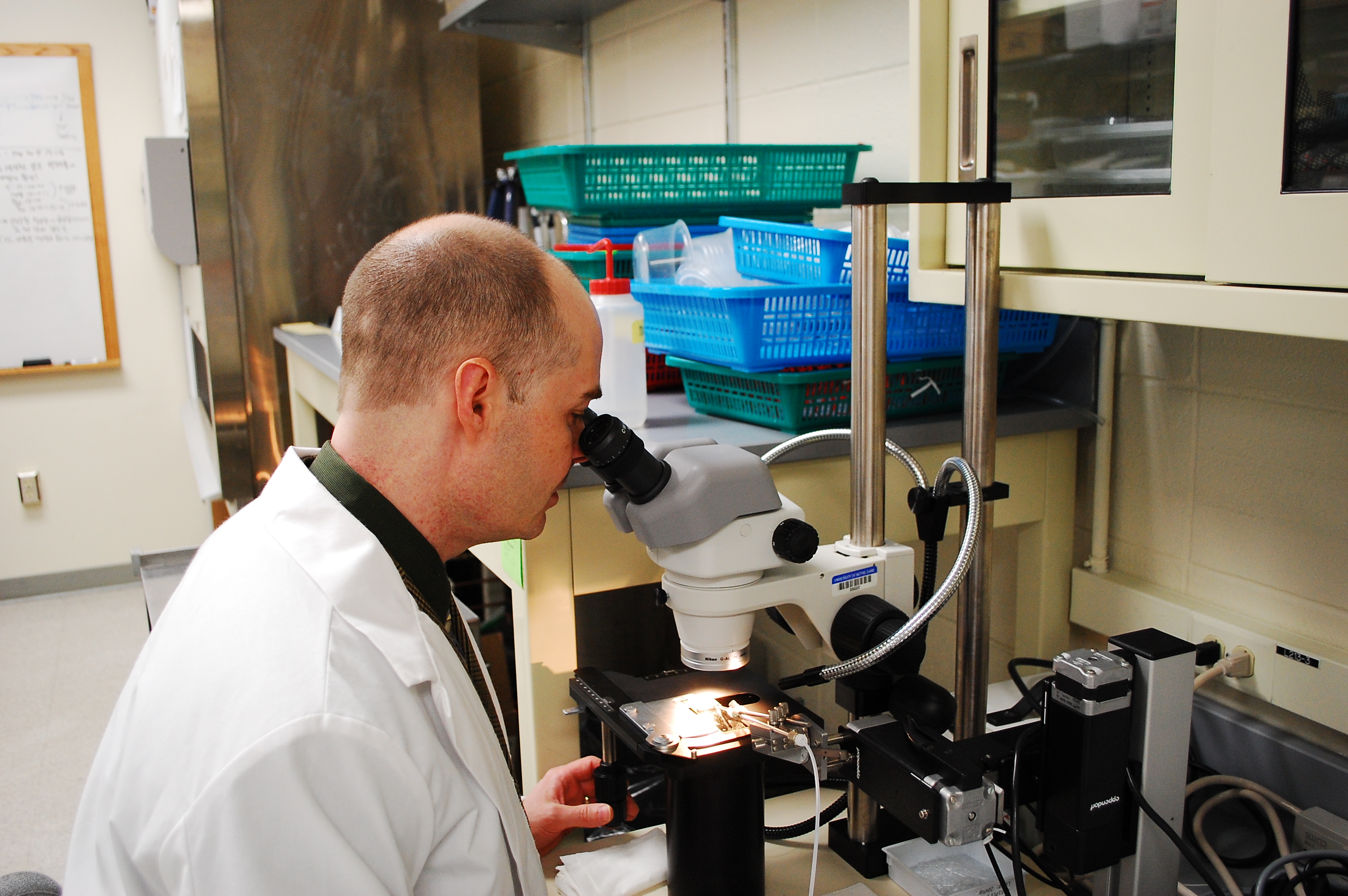 CEO Kim Thompson performing genetic insertions